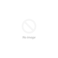 Permanent Collection